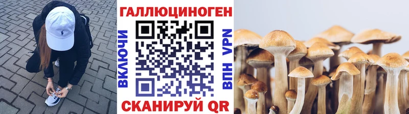 Купить закладки  Лангепас  Галлюциногенные грибы Psilocybine cubensis 